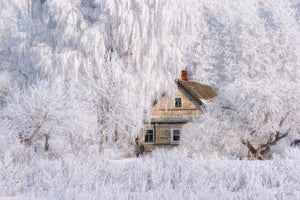 acrylic-print-winter-tale-x