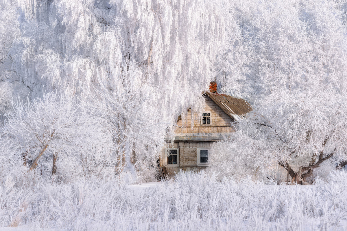 acrylic-print-winter-tale-x