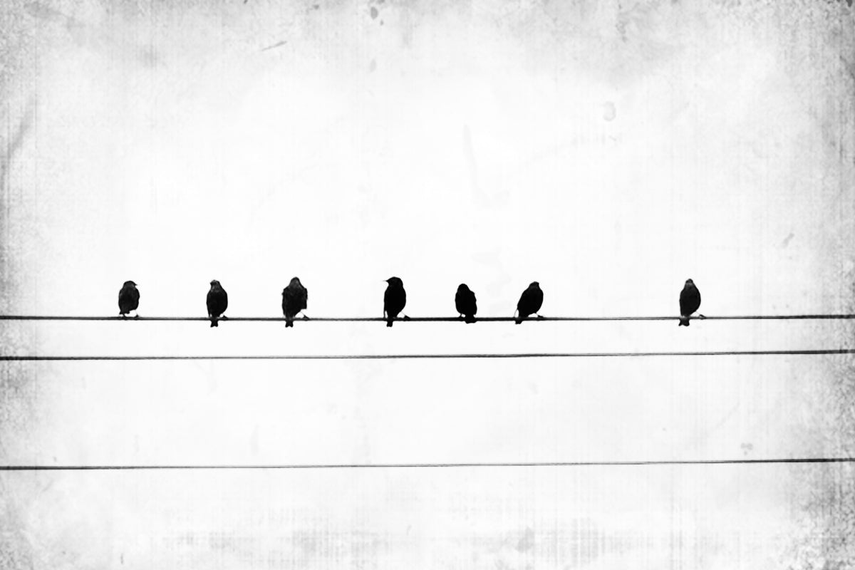 canvas-print-sheet-music