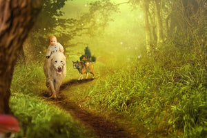 aluminium-print-forest-excursion