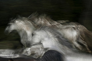 3-piece-acrylic-print-into-the-dark