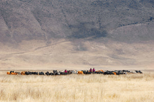 canvas-print-incredible-maasai