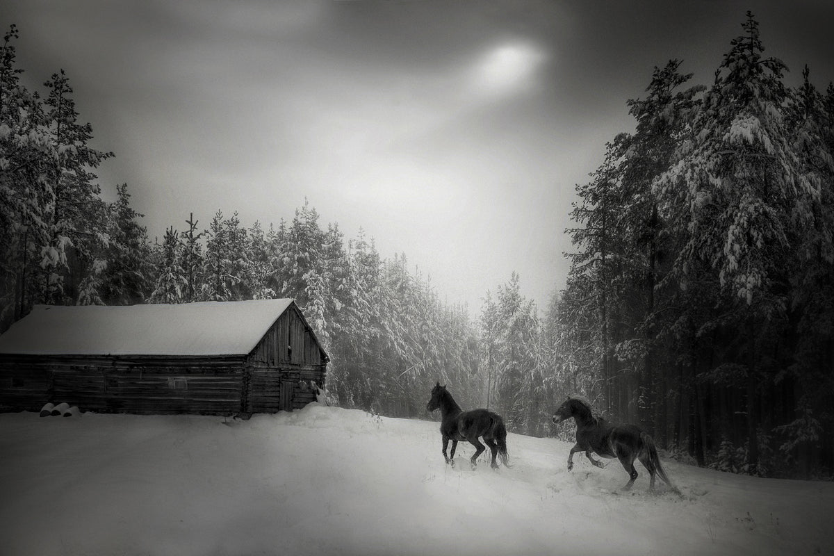 canvas-print-untitled-xpe