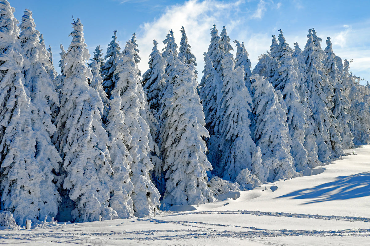 framedposter-print-beautiful-winter-landscape