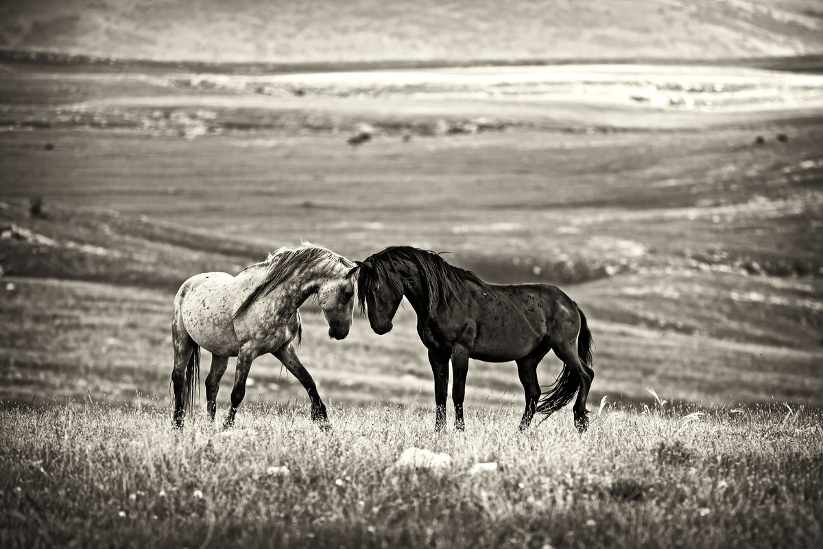 framedcanvas-print-close-encounter-x