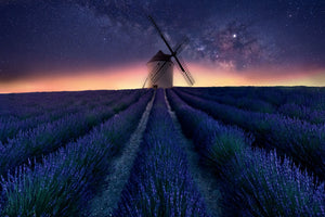 framedcanvas-print-lavender-night-x