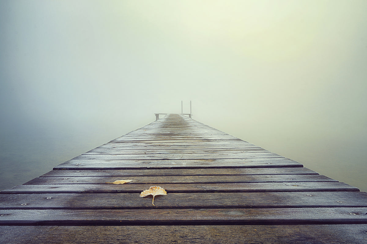 aluminium-print-cold-and-misty-morning-x