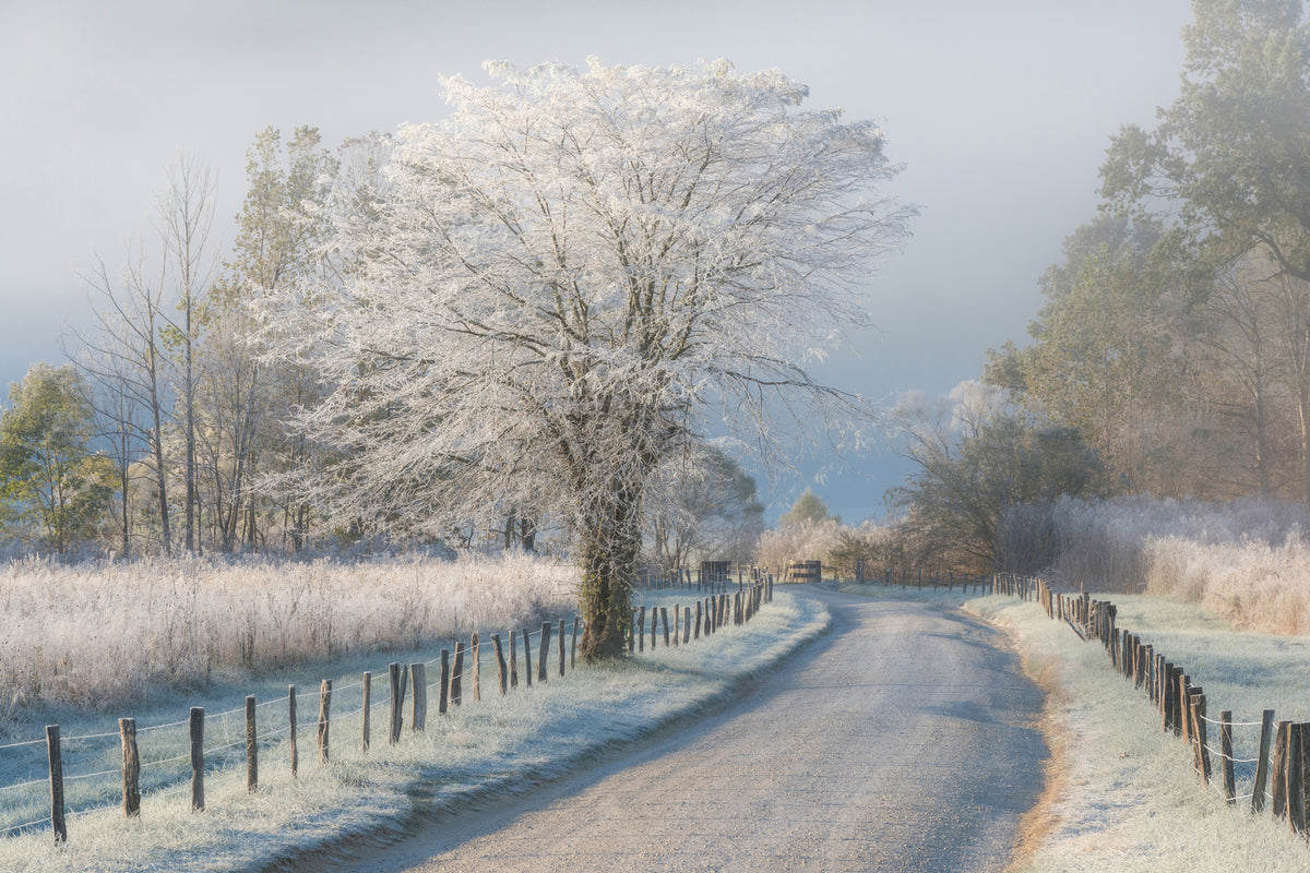 framedcanvas-print-a-frosty-morning