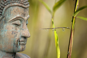 acrylic-print-xl-buddha-head