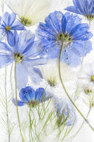 poster-print-cosmos-blue