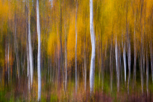 framedcanvas-print-abstract-fall
