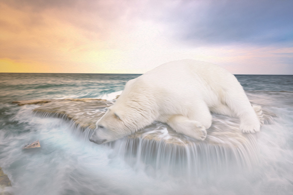 framedposter-print-the-polar-bear-and-the-sea
