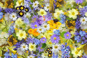 framedposter-print-fresh-spring-flowers