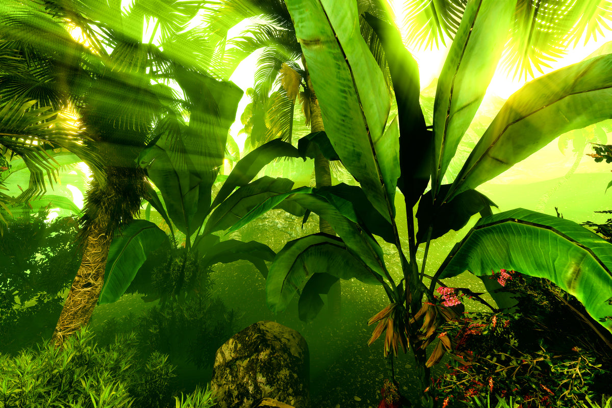 aluminium-print-sunrise-in-the-rainforest