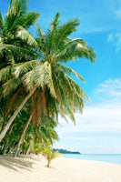 framedcanvas-print-a-island-dream