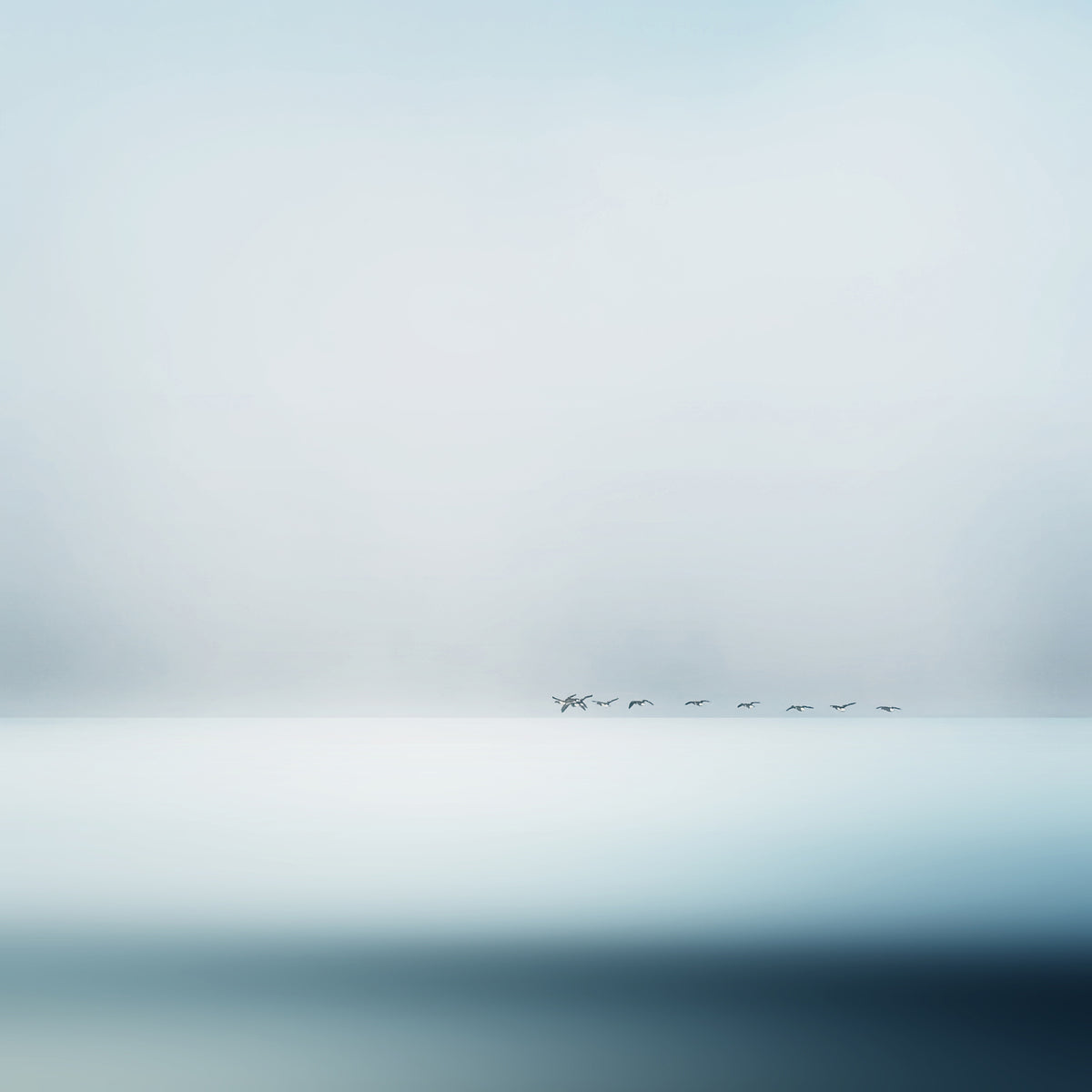 poster-print-wild-geese