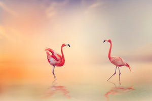 modern-3-piece-canvas-print-romantic-flamingos