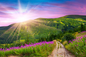 3-piece-acrylic-print-a-summer-landscape-at-sunrise