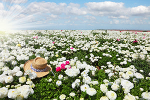 modern-3-piece-canvas-print-spring-flower-meadow