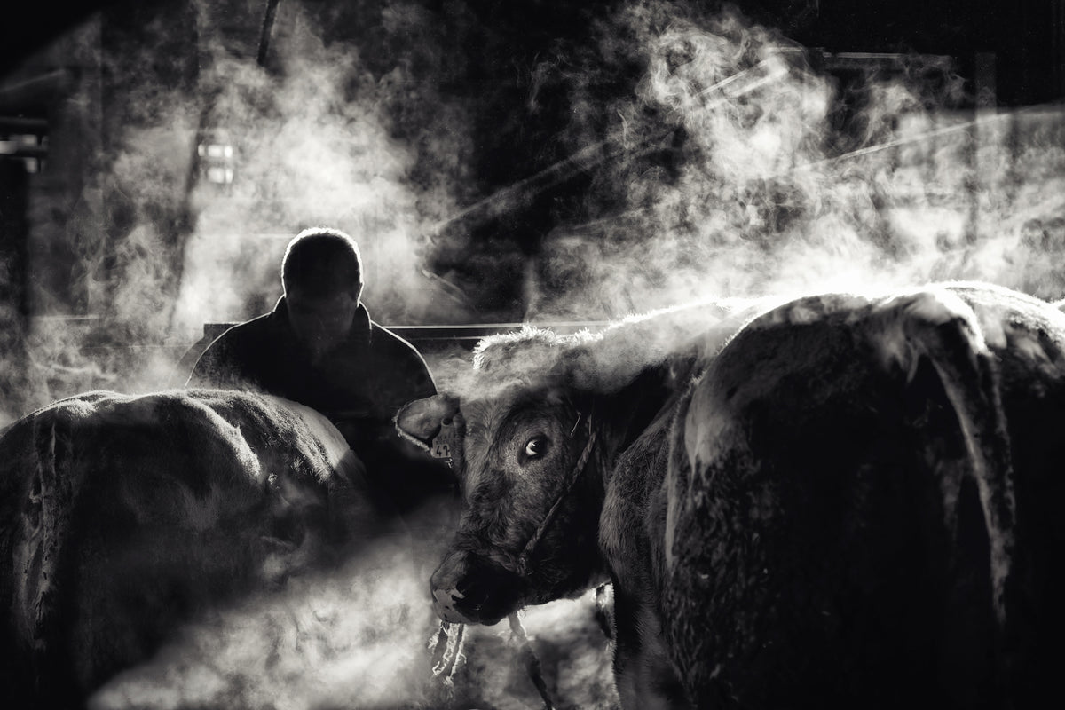 aluminium-print-farm-life