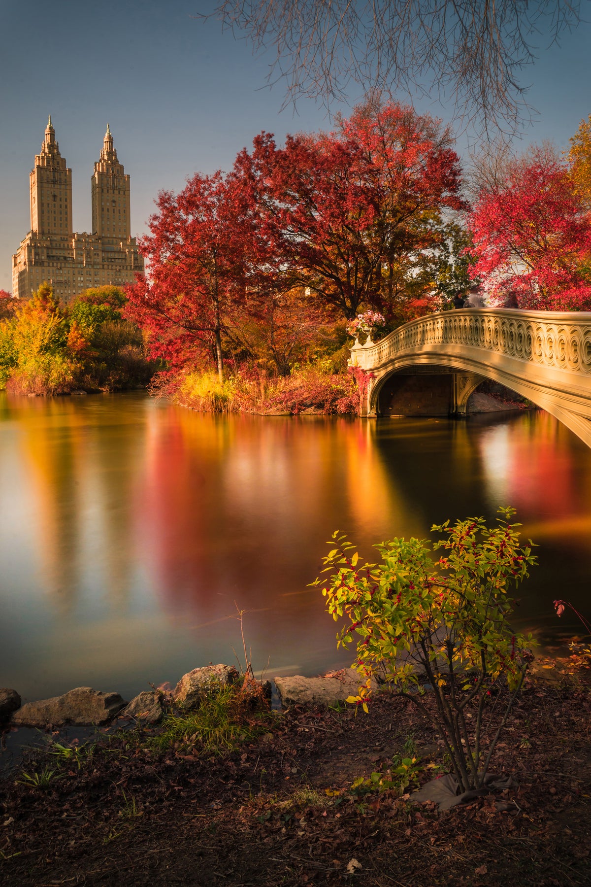 poster-print-fall-in-central-park-x