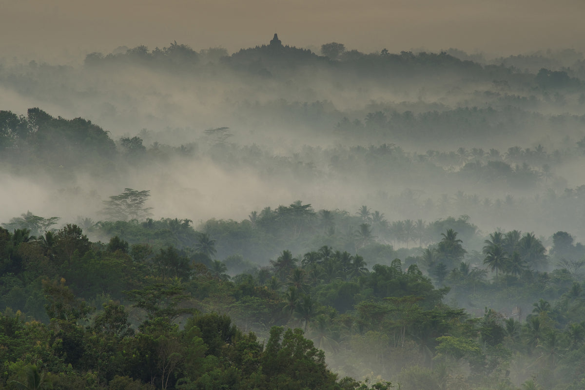 framedposter-print-temple-in-the-mist