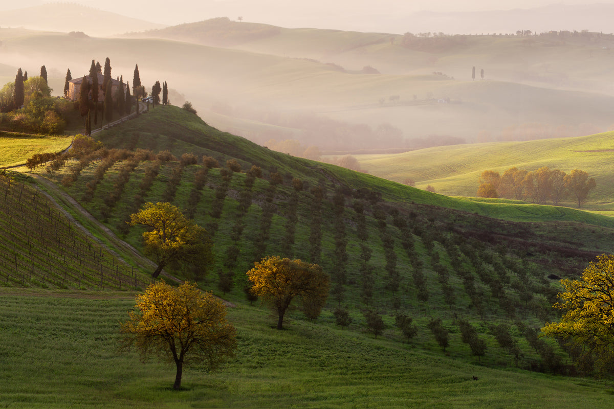 framedcanvas-print-tutte-le-strade-portano-a-belvedere