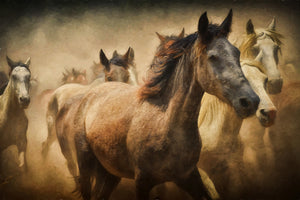 acrylic-print-painting-wild-horses