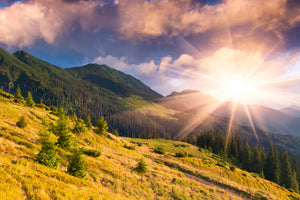 3-piece-canvas-print-beginning-of-autumn