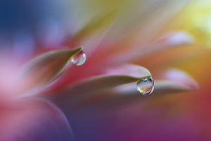 framedposter-print-sound-of-colors-x