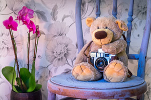 canvas-print-camera-teddy-bear