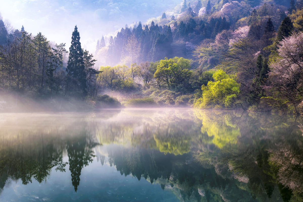 aluminium-print-morning-calm
