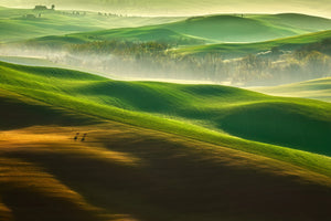 canvas-print-freedom-ii