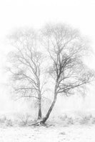 framedcanvas-print-early-in-the-morning