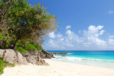 poster-print-dream-beach-seychelles