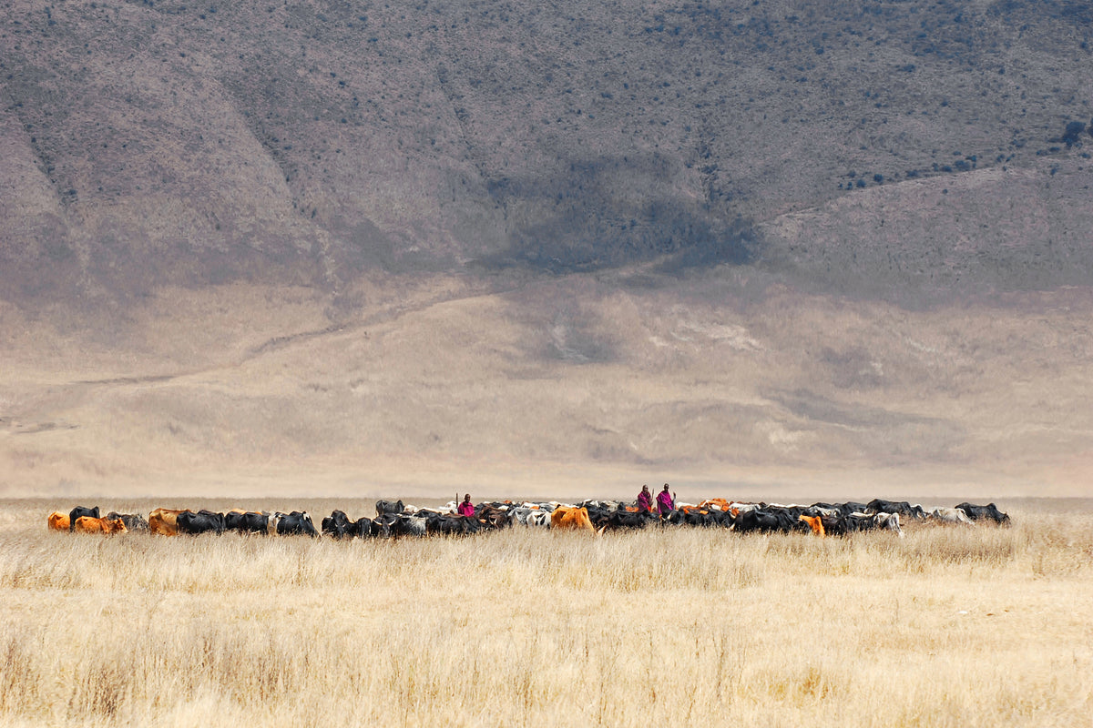 framedcanvas-print-incredible-maasai