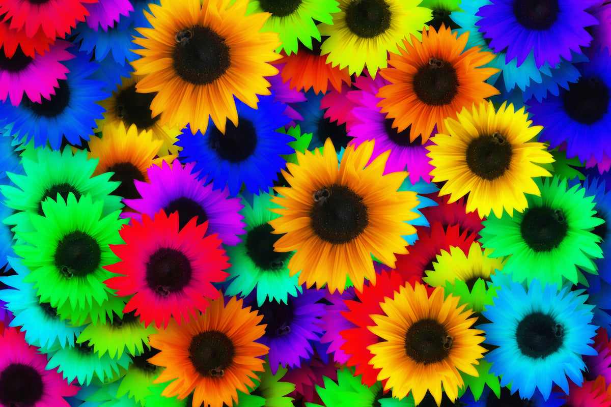3-piece-canvas-print-colorful-sunflowers