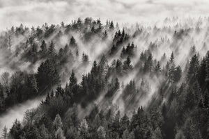 framedposter-print-sundance-no-i