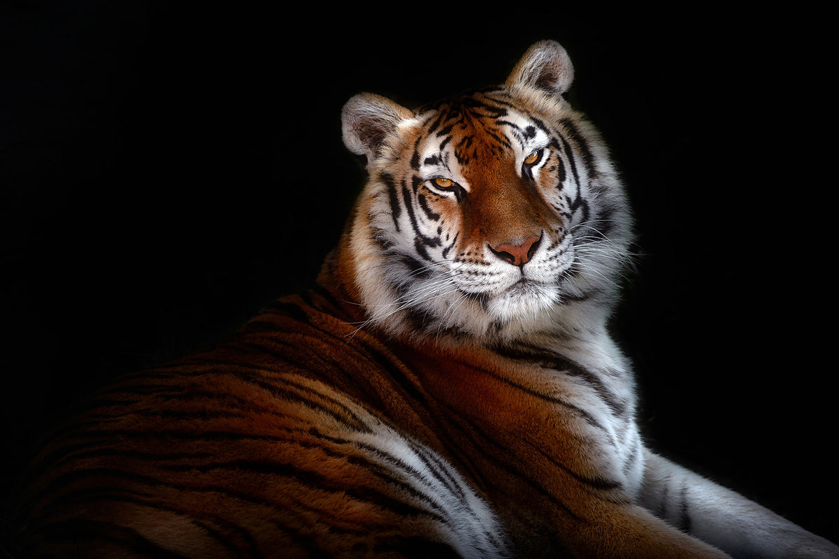 canvas-print-serenity-xfc