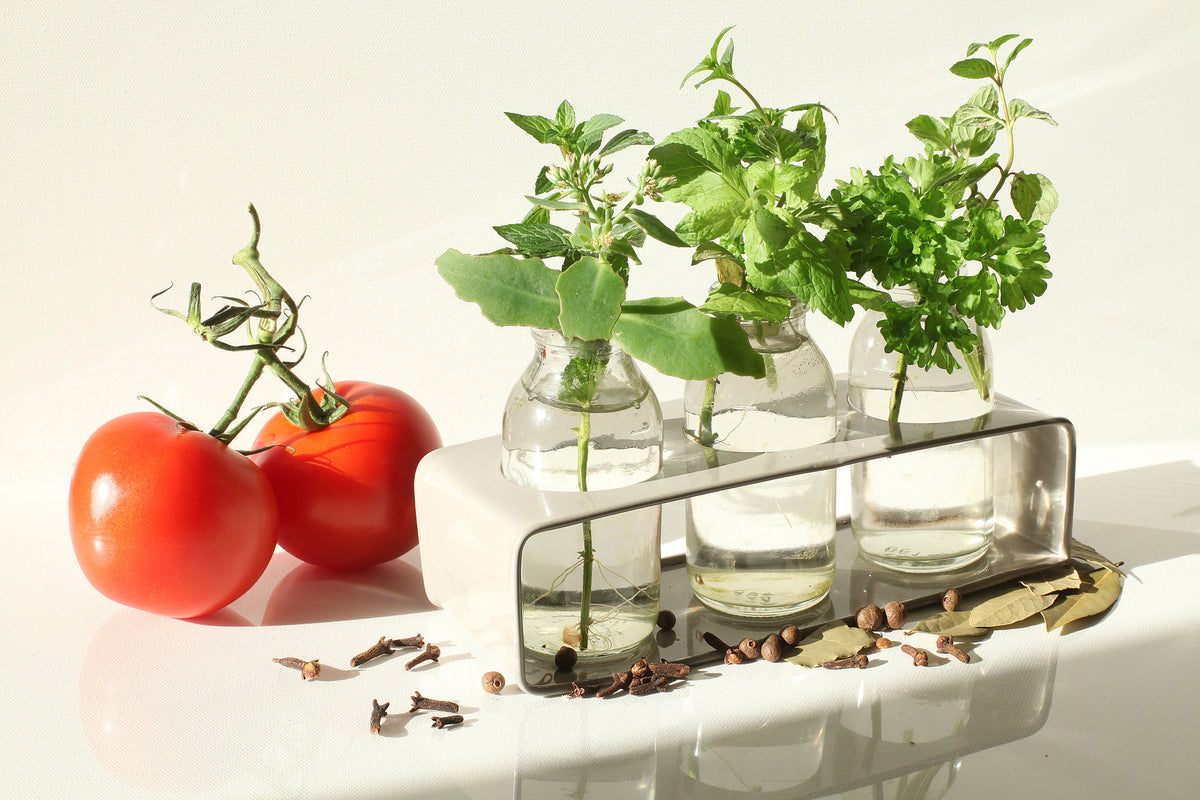 3-piece-canvas-print-tomatoes-and-herbs