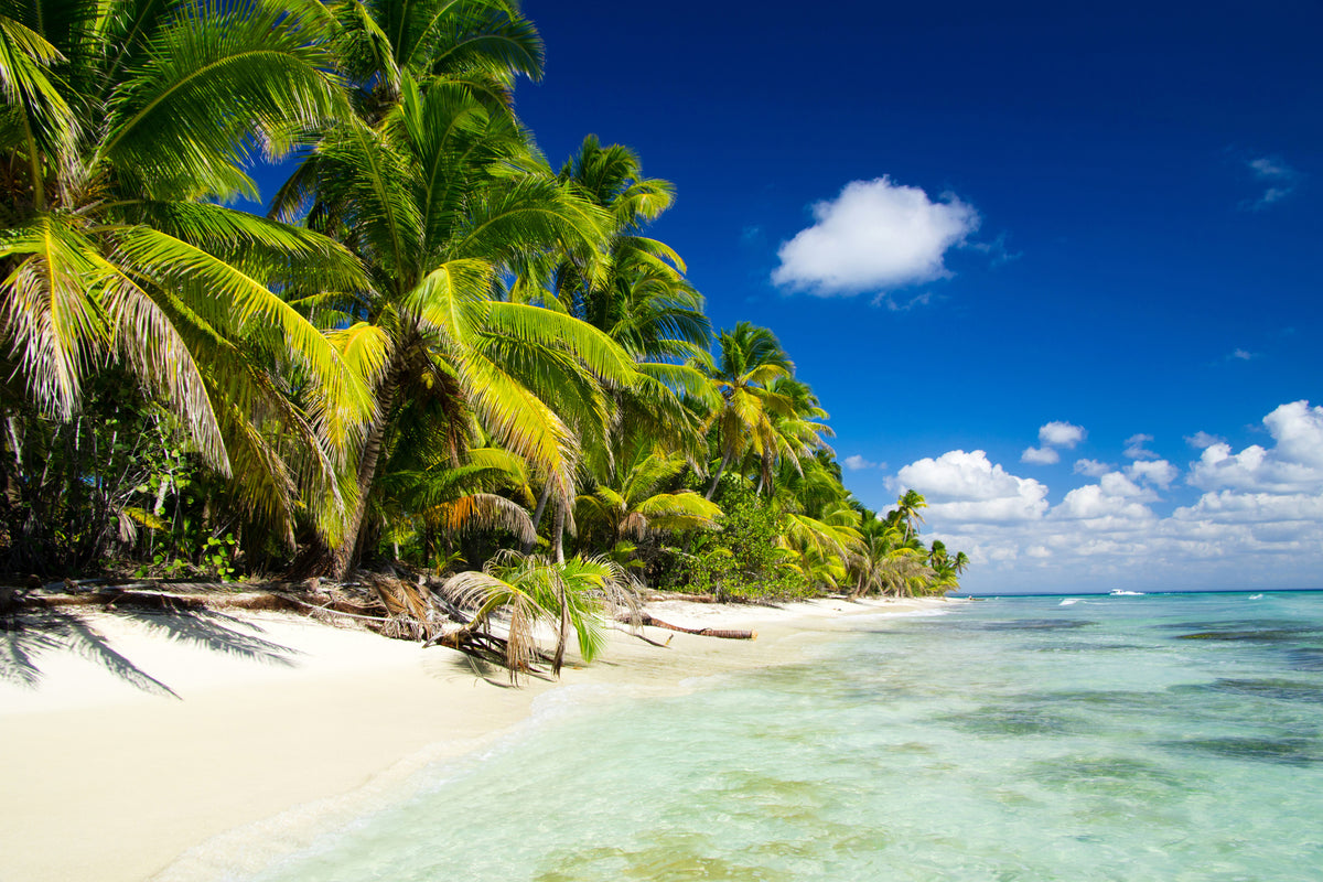 framedposter-print-the-deserted-island