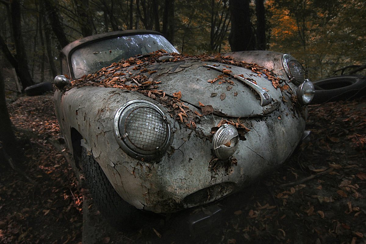 poster-print-red-forest-x