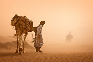 framedposter-print-sand-storm-x