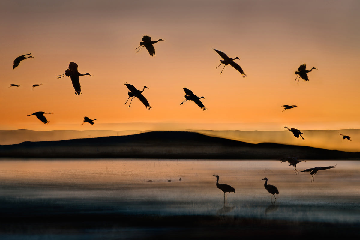 modern-3-piece-acrylic-print-fly-in-at-sunset