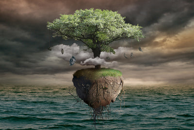 poster-print-lonely-tree