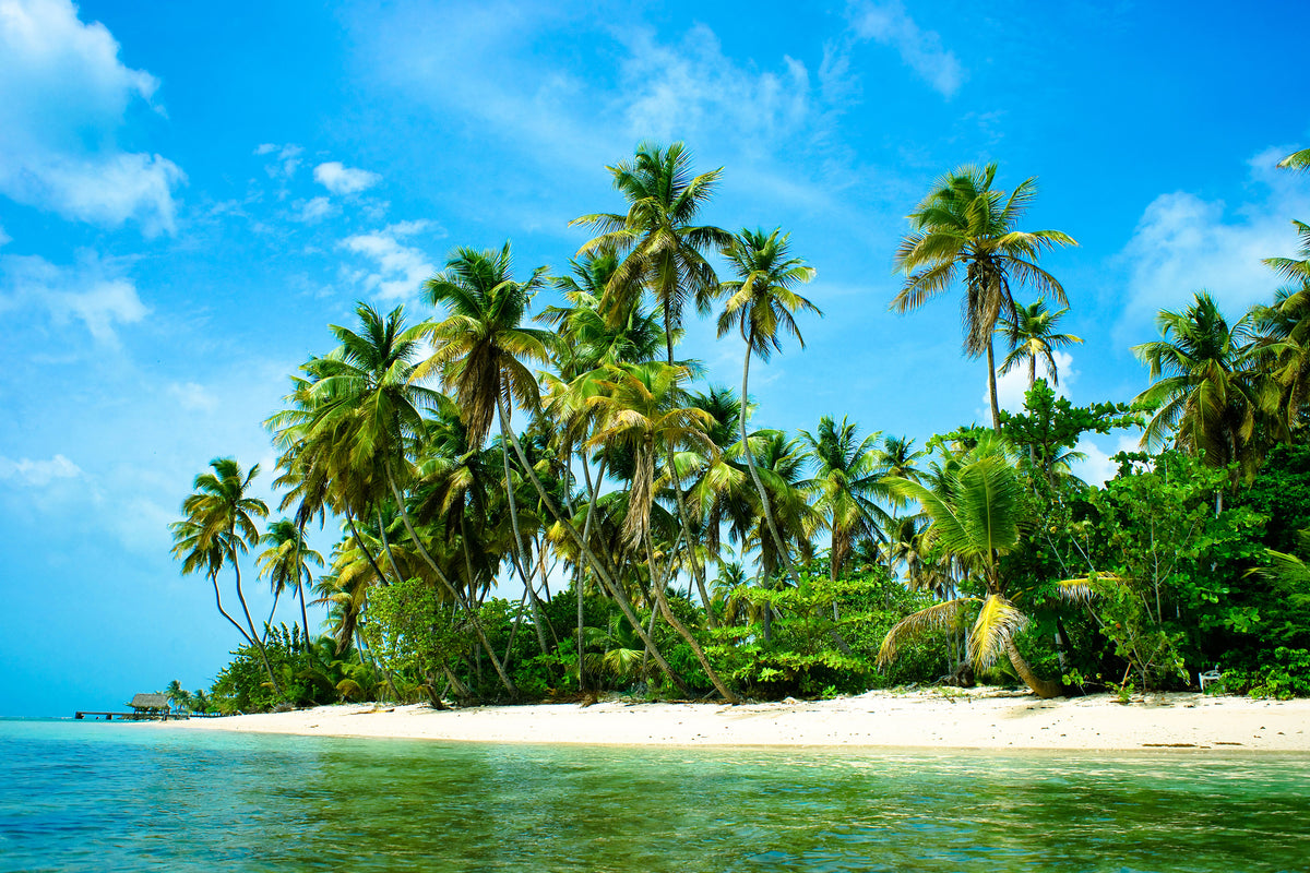 framedcanvas-print-ready-for-holiday-island