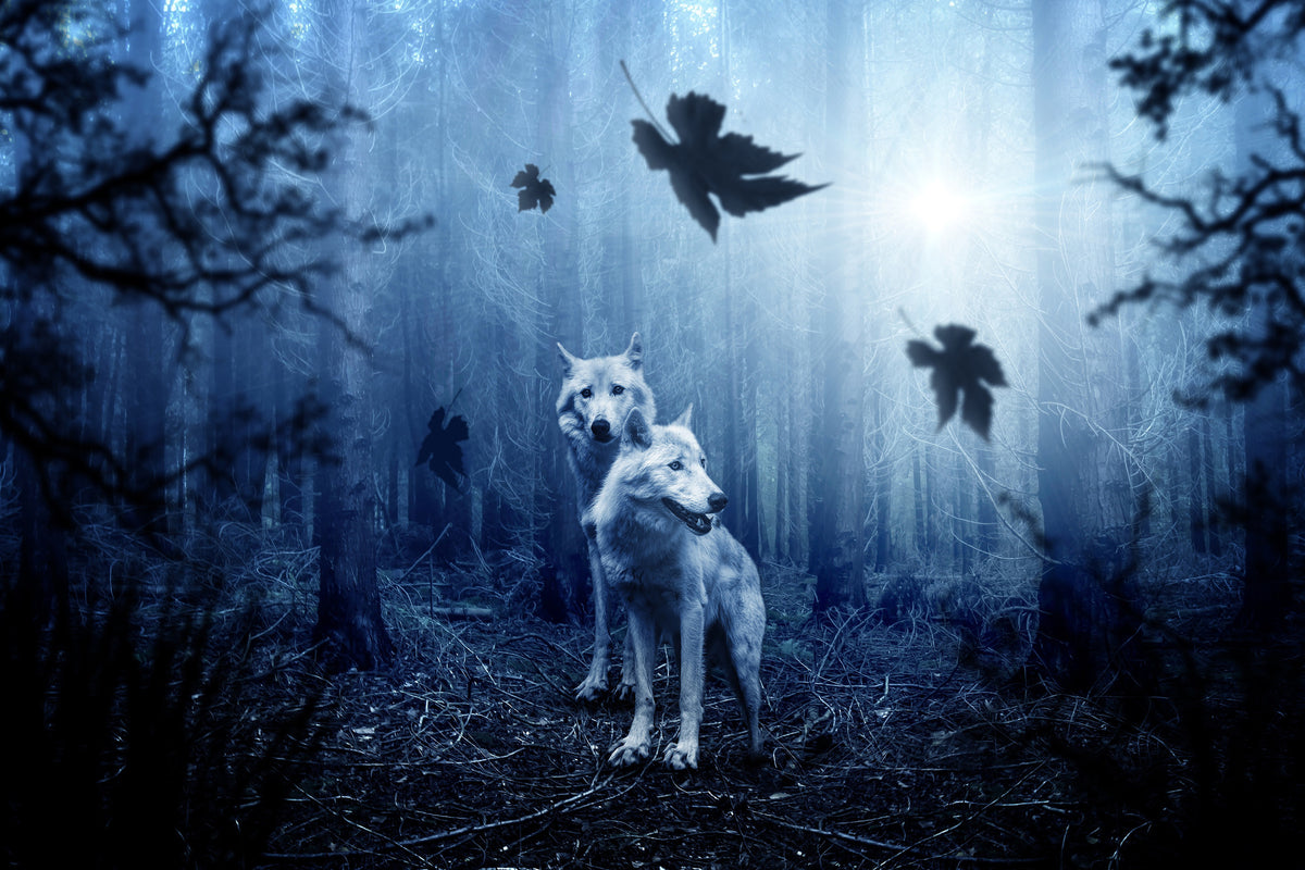 3-piece-canvas-print-wolf39s-couple