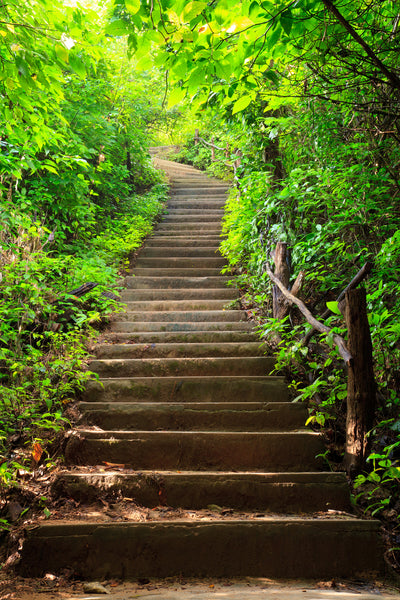 poster-print-wood-stairs