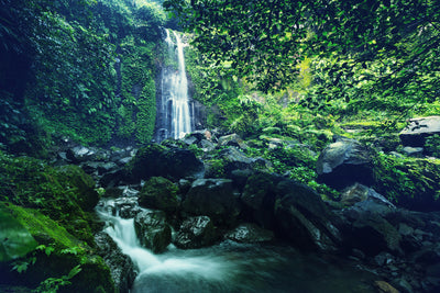 poster-print-nature