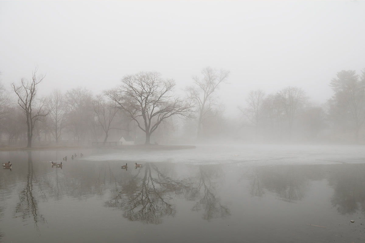 framedcanvas-print-untitled-xiii